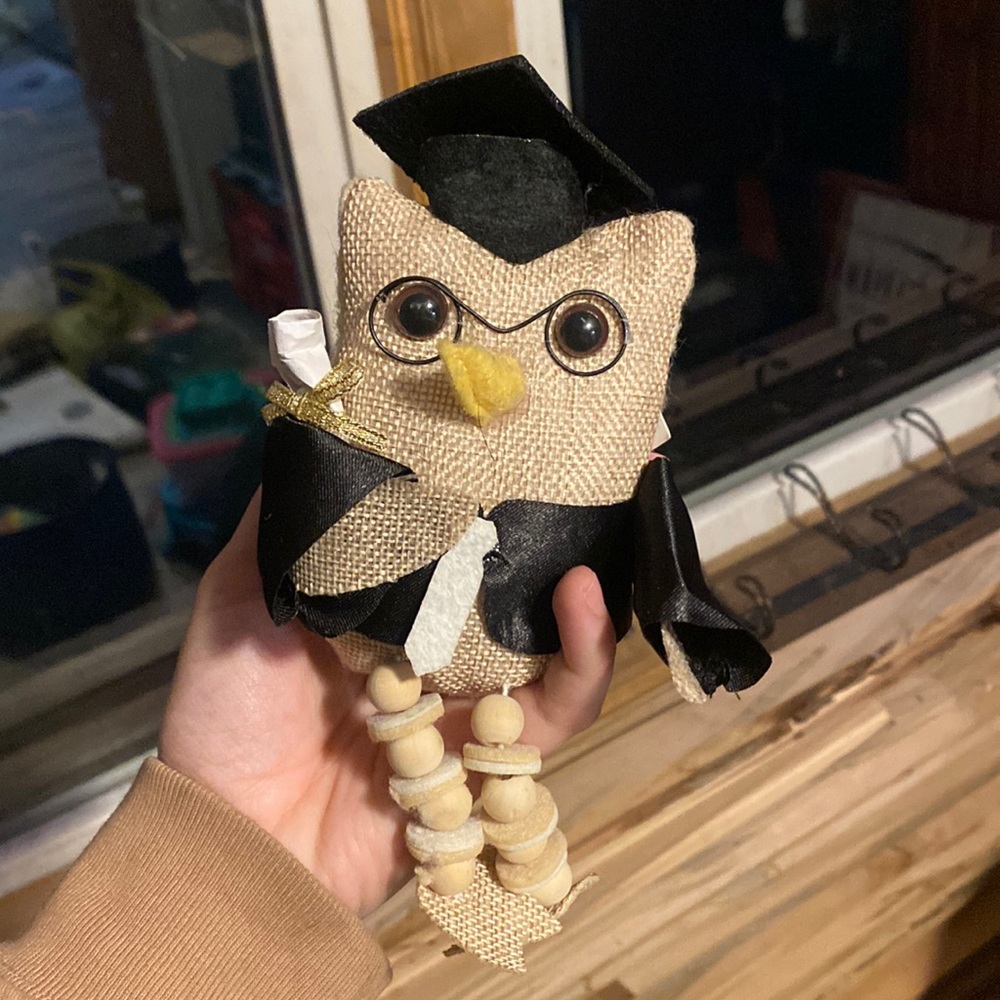 Graduation Owl